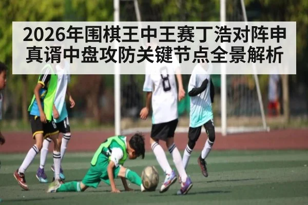 2026年围棋王中王赛丁浩对阵申真谞中盘攻防关键节点全景解析 - hth
